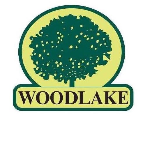 company image